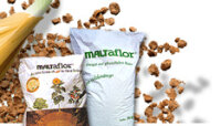 MALTAFLOR Seed-o-Gran Rasendünger (NPK 8 3 5) - 25 kg
