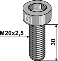 Innensechskantschraube - M20x2,5 - 10.9