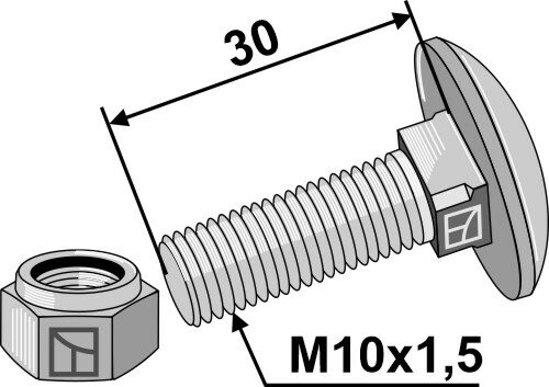 Flachrundschrauben mit Selbstsichernder Mutter M10 x1,5x30 - 8.8