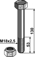 Schraube mit Sicherungsmutter - M18x2,5 - 10.9